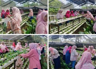 DWP Fakultas Hukum Unila Gelar Family Gathering dan Kunjungan Museum Soehardjo